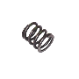 Engine Valve Spring